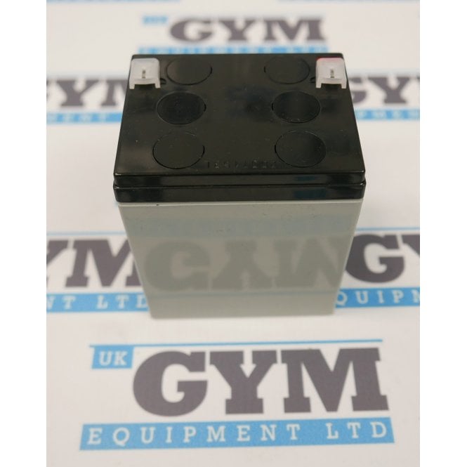 12V Bike Battery (Precor part # PPP000000012258040 / BATTERY,SLA,12V,4AH,.187 TABS)