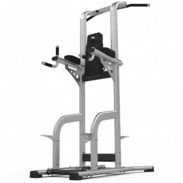 Chinning / Dipping / Leg Raise Station (Rear Chin)