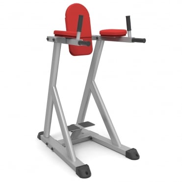 Dip / Leg Raise Frame
