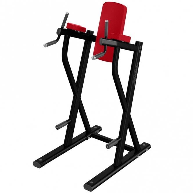 Dip / Leg Raise