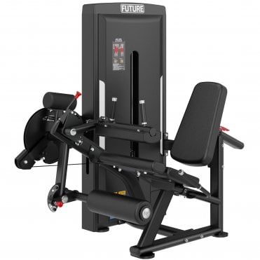 Dual Series Seated Leg Curl / Leg Extension