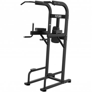 Elite Series Commercial Vertical Knee Raise / Chin Dip Frame (VKR)