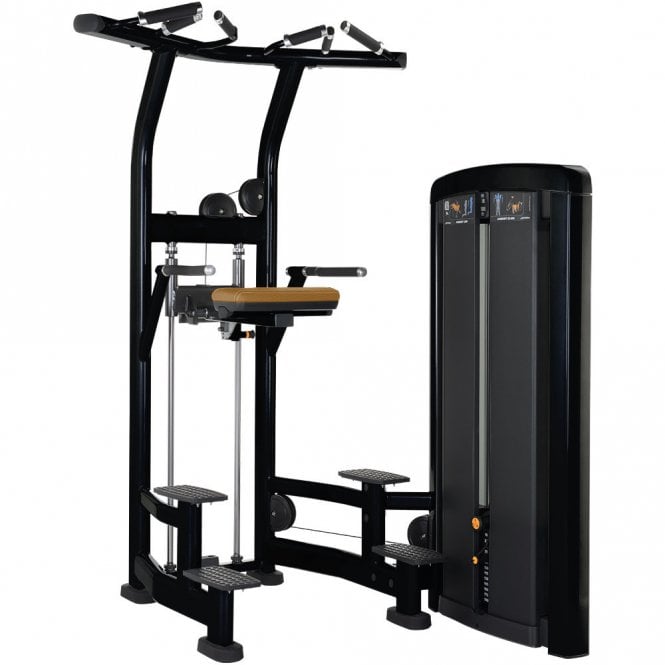 Insignia Series Assisted Chin & Dip