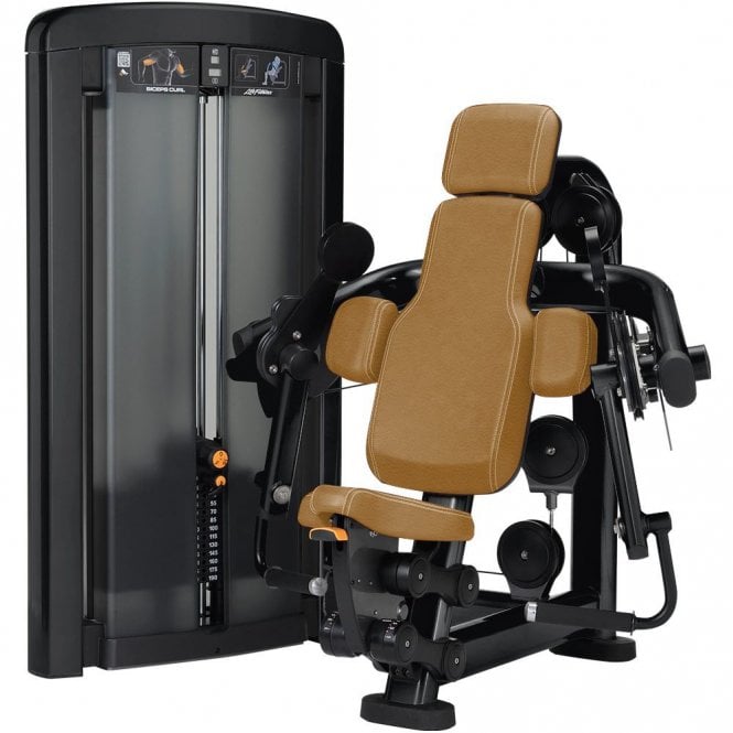 Insignia Series Biceps Curl
