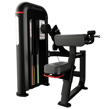 Inspiration Bilateral Arm Curl