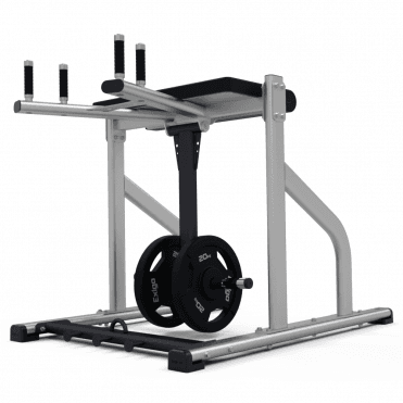 Plate Loaded Reverse Hyper Extension