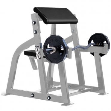 Preacher Curl Bench
