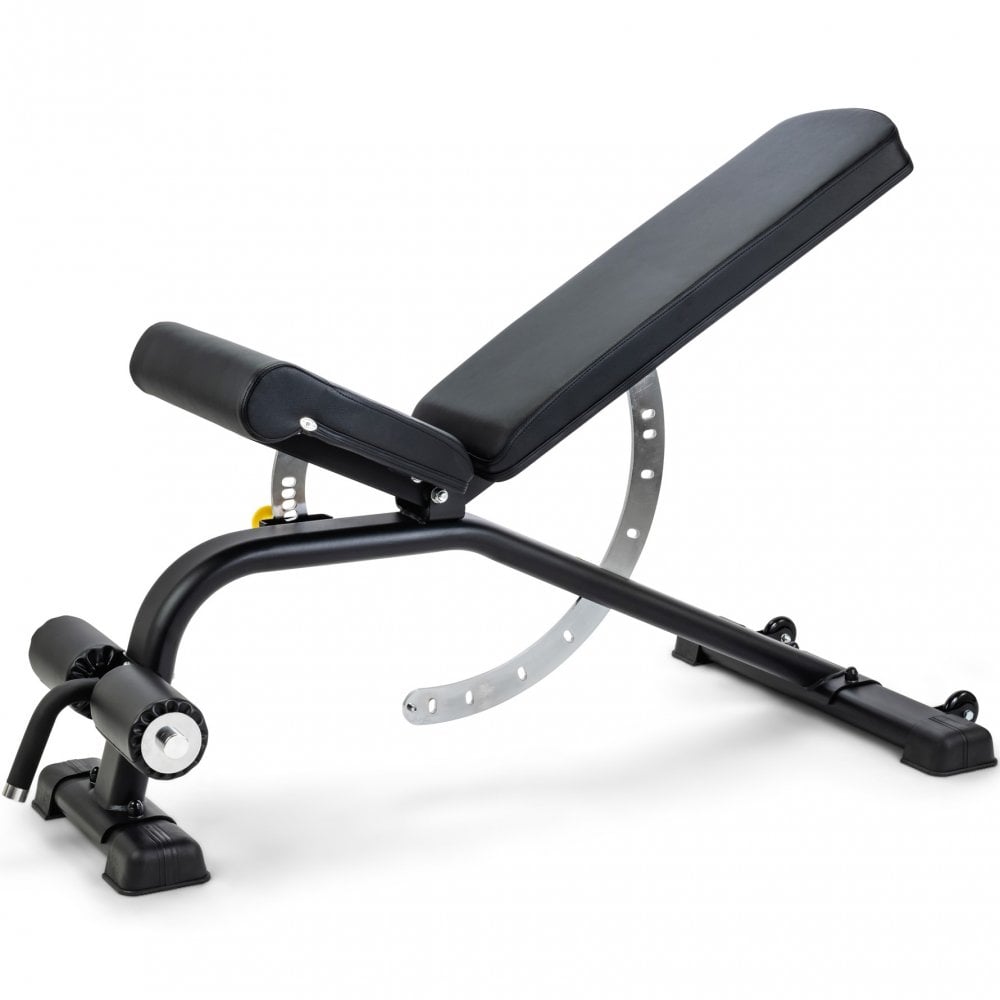 Future Commercial Adjustable FID Free Weight Bench (Gym Equipment)