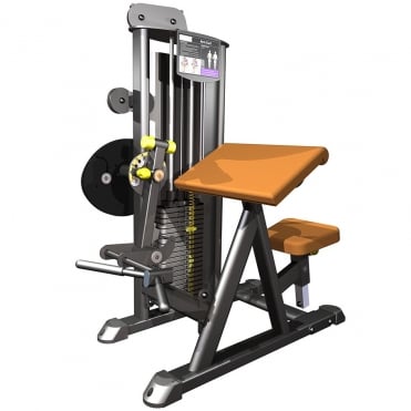 R2 Arm / Bicep Curl