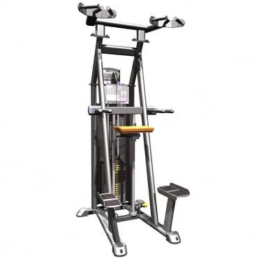 R2 Assisted Chin & Dip