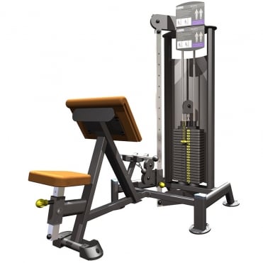 R2 Dual Bicep Curl / Tricep Extension