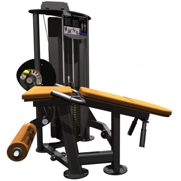 R2 Dual Leg Curl / Leg Extension