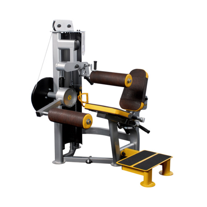 R2 Inclusive Seated Leg Curl (IFI)