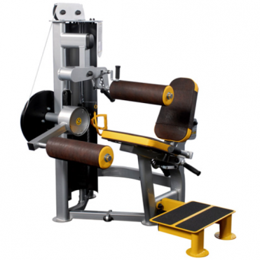 R2 Inclusive Seated Leg Curl (IFI)