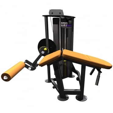 R2 Prone / Lying Leg Curl
