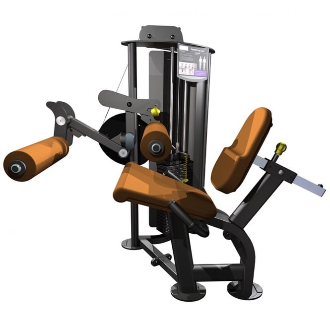 R2 Seated Leg Curl
