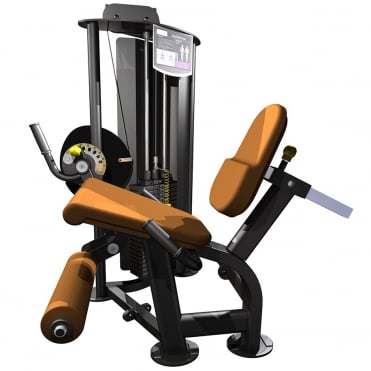 R2 Seated Leg Extension