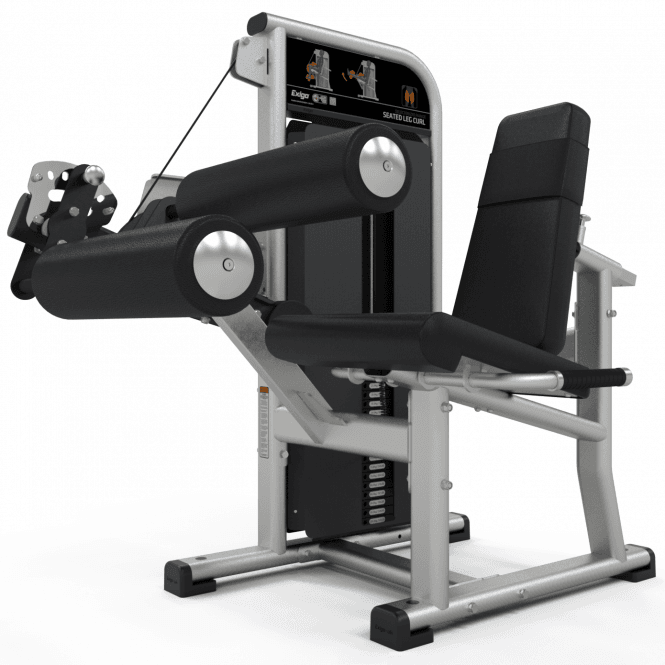 Seated Leg Curl