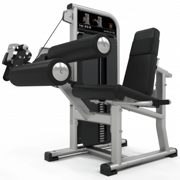 Seated Leg Curl