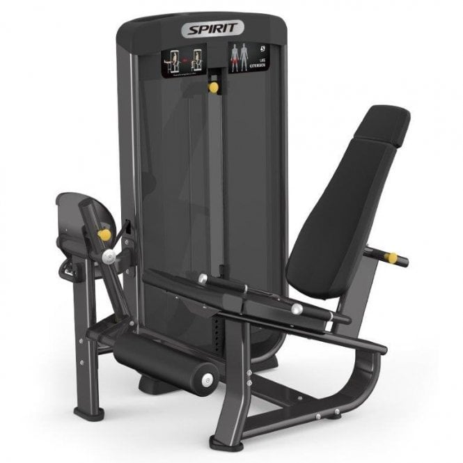 Seated Leg Extension