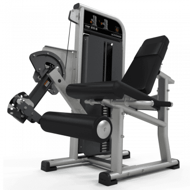 Seated Leg Extension