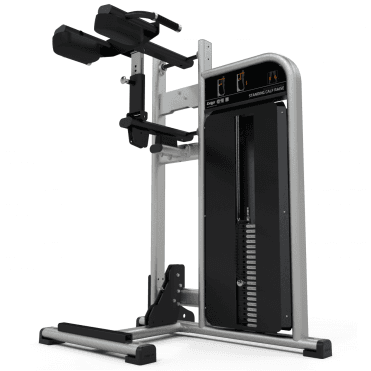 Standing Calf Raise