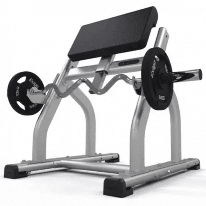 Standing Preacher Curl