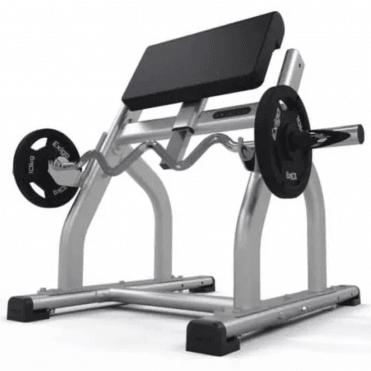 Standing Preacher Curl