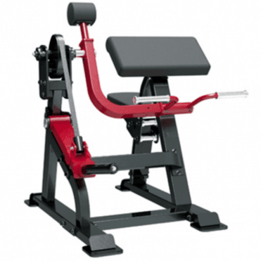 Sterling Series Bicep Curl